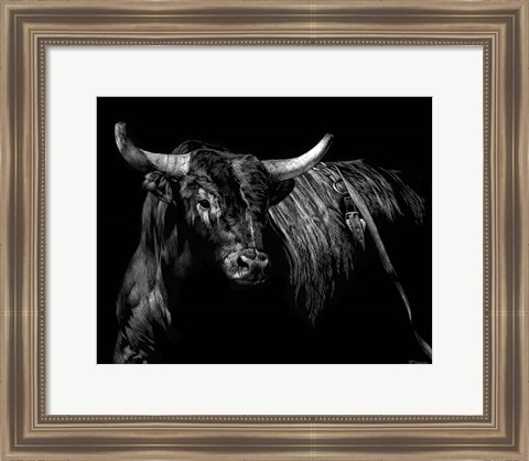 Framed Brindle Rodeo Bull Print