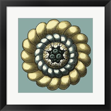 Framed Floral Medallion III Print