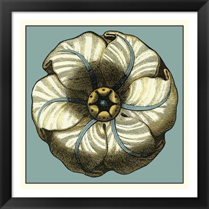 Framed Floral Medallion IV Print