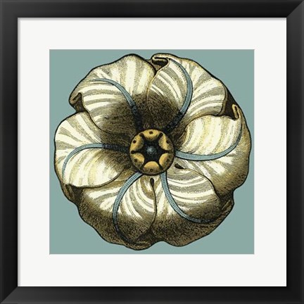 Framed Floral Medallion IV Print