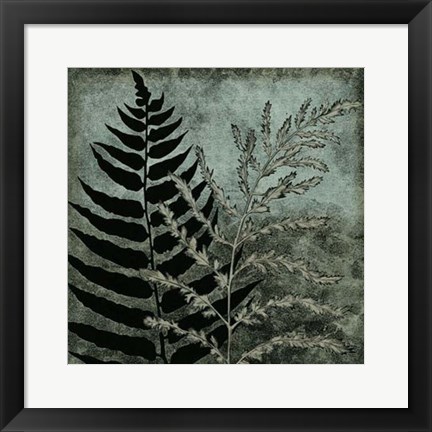 Framed Illuminated Ferns III Print