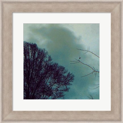 Framed Nocturne II Print