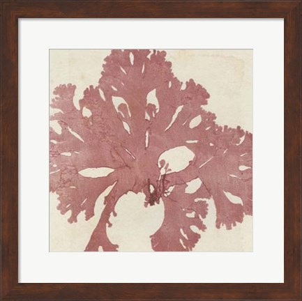 Framed Brilliant Seaweed V Print