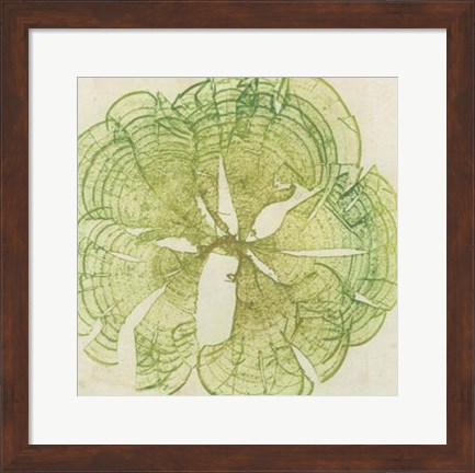 Framed Brilliant Seaweed VIII Print