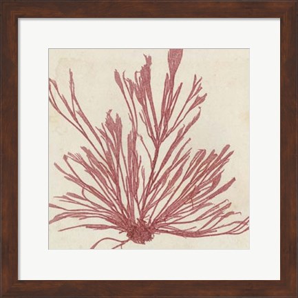 Framed Brilliant Seaweed IX Print