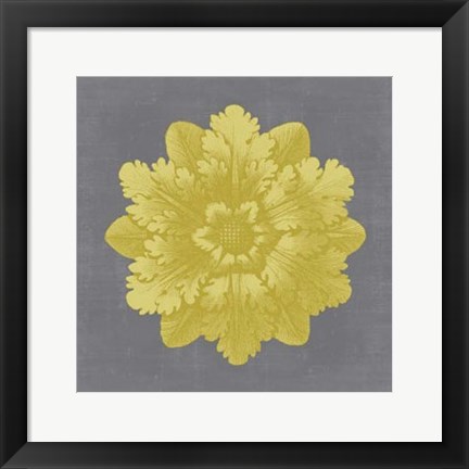 Framed Gilded Rosette V Print