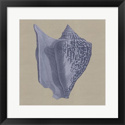 Framed Chambray Shells I Print