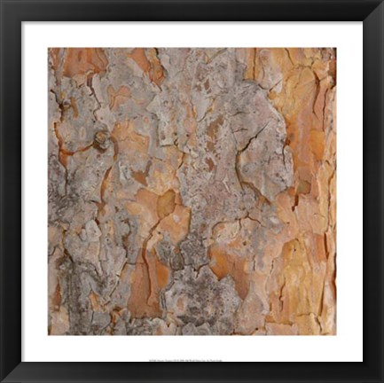 Framed Nature&#39;s Textures VII Print