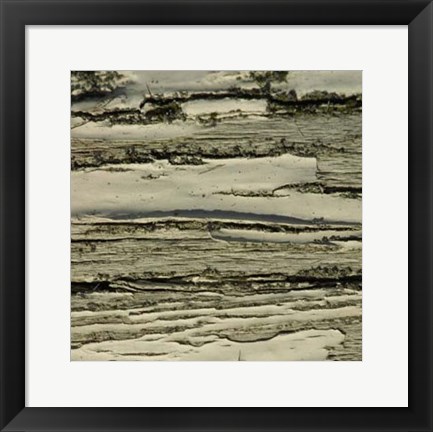 Framed Nature&#39;s Textures VIII Print