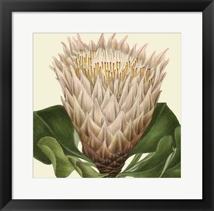 Framed Tropical Vision VI Print