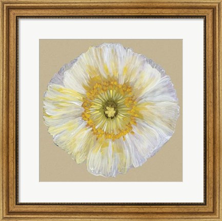 Framed Poppy Blossom II Print