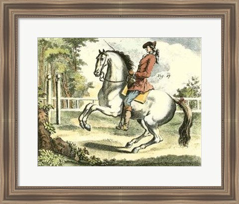 Framed Equestrian Training II Print