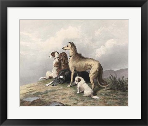 Framed Highland Dogs Print