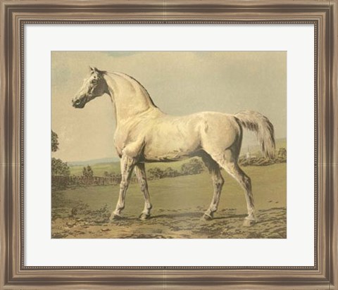 Framed Cassell&#39;s Thoroughbred II Print