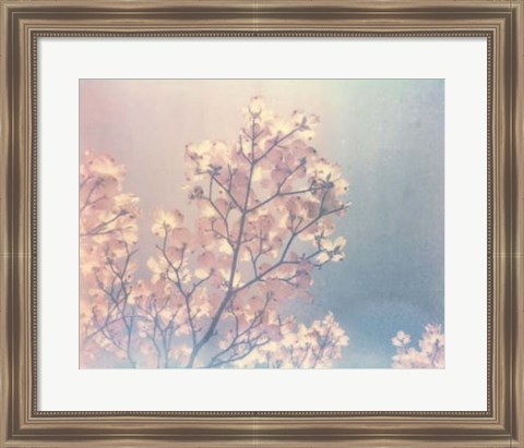 Framed Flowering Dogwood I Print