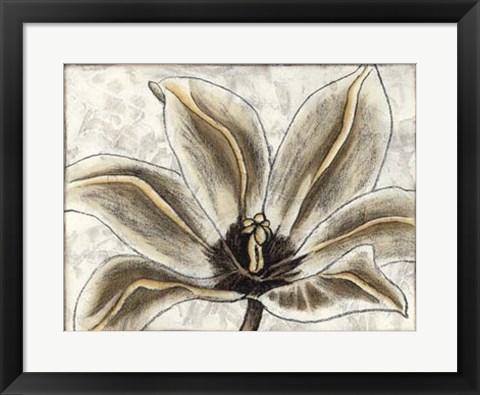 Framed Fresco Flowerhead III Print