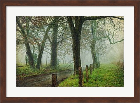 Framed Morning on Sparks Lane IV Print