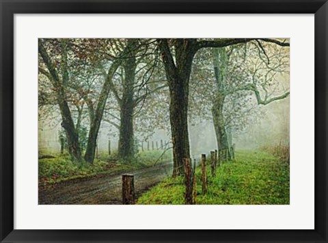 Framed Morning on Sparks Lane IV Print