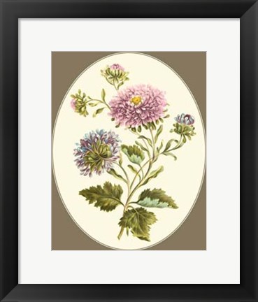 Framed Antique Bouquet II Print