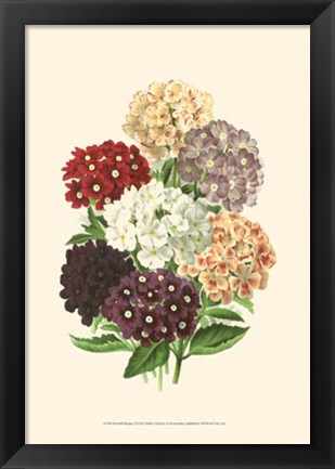 Framed Bountiful Bouquet I Print