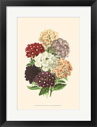 Framed Bountiful Bouquet I Print