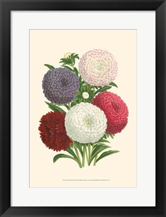 Framed Bountiful Bouquet II Print