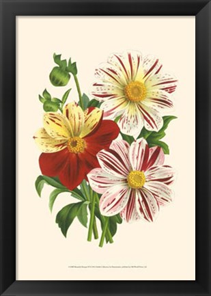 Framed Bountiful Bouquet III Print