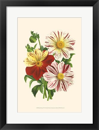 Framed Bountiful Bouquet III Print