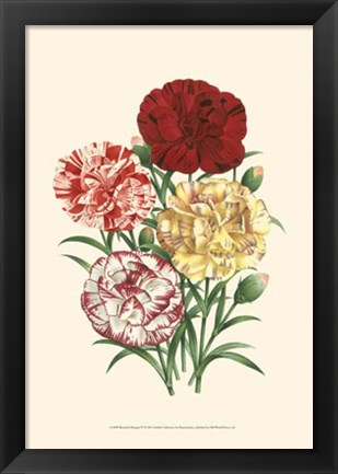 Framed Bountiful Bouquet IV Print