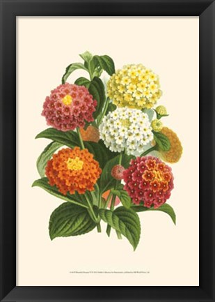 Framed Bountiful Bouquet VI Print