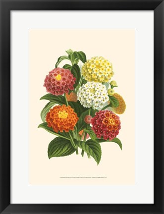 Framed Bountiful Bouquet VI Print