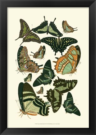 Framed Green Butterfly Study Print