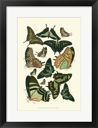 Framed Green Butterfly Study Print