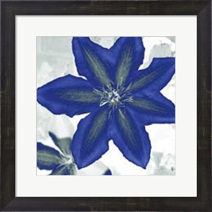 Framed Indigo Star II Print