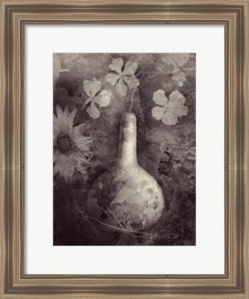 Framed Gourd II Print