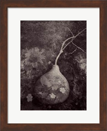 Framed Gourd IV Print