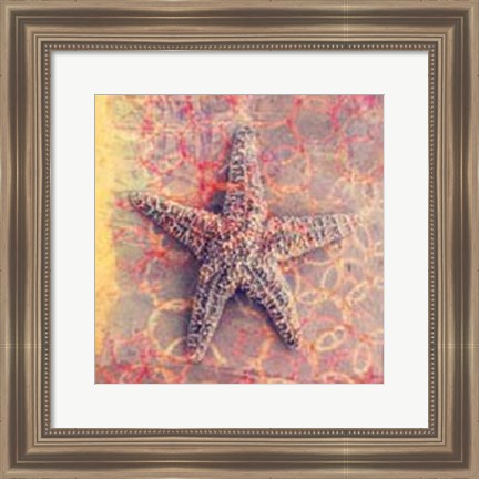 Framed Seashell-Starfish Print