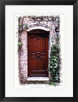 Framed Doors of Europe II Print