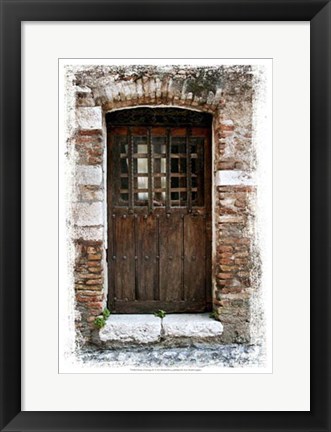 Framed Doors of Europe IV Print