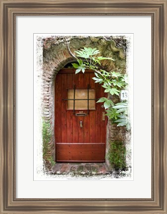 Framed Doors of Europe XV Print