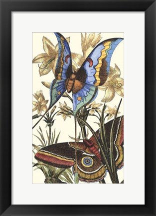 Framed Butterfly I Print