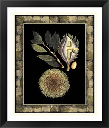 Framed Tropical Bounty III Print