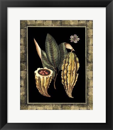 Framed Tropical Bounty IV Print