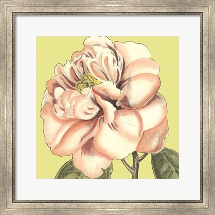 Framed Flower Power IV Print