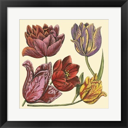 Framed Floral Spray II Print