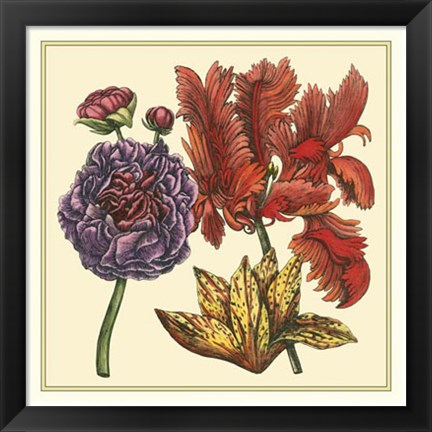 Framed Floral Spray III Print