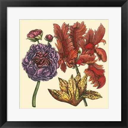 Framed Floral Spray III Print