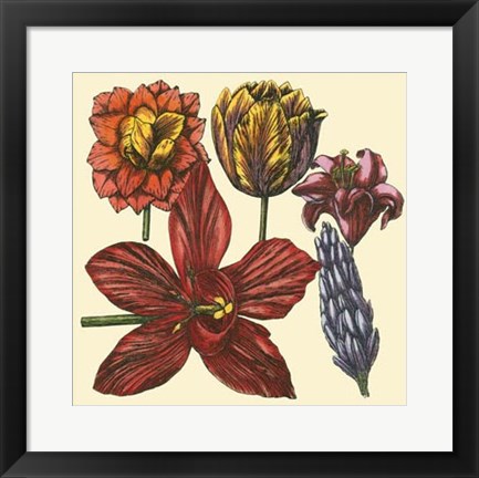 Framed Floral Spray VI Print