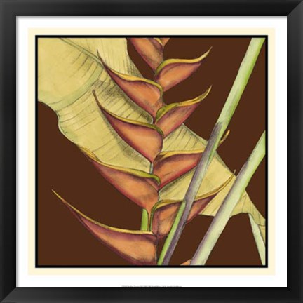 Framed Striking Tropical III Print