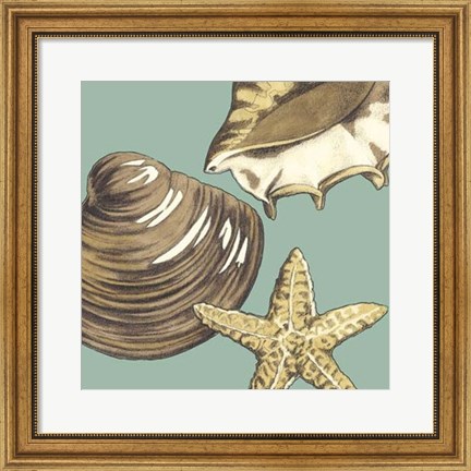 Framed Shell Trio on Blue IV Print